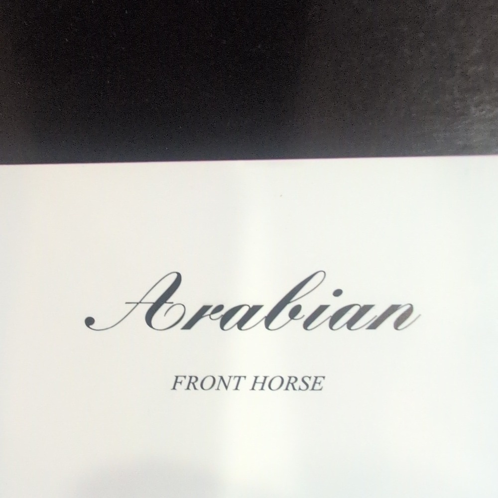 Sonia Torres Limited Edition Numbered, Signed Arabian Front Horse Artist's Print - Picture 5 of 8
